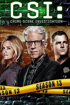 Les Experts saison 13