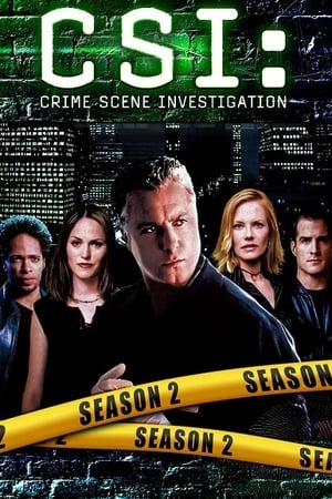 Les Experts saison 2