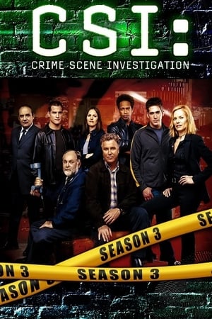 Les Experts saison 3