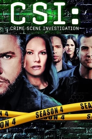 Les Experts saison 4