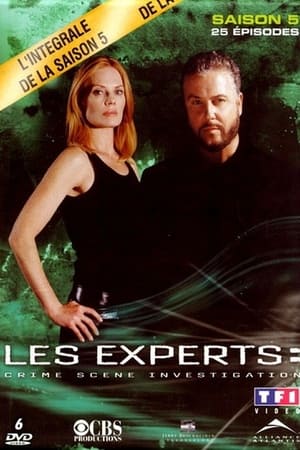 Les Experts saison 5