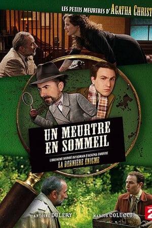 Les Petits Meurtres d'Agatha Christie - saison 1 poster