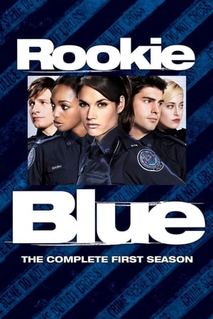 Les recrues de la 15e - saison 1 poster