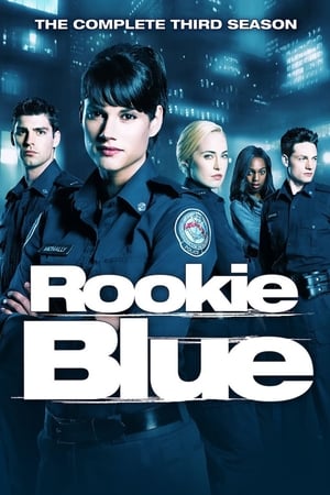 Les recrues de la 15e - saison 3 poster