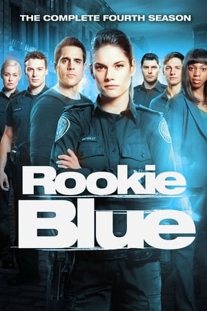 Les recrues de la 15e - saison 4 poster