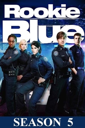 Les recrues de la 15e - saison 5 poster