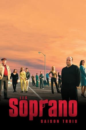 Les Soprano Saison 3 poster