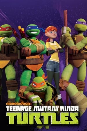 Les Tortues Ninja Saison 1 poster