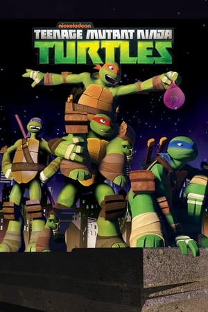 Les Tortues Ninja Saison 3 poster