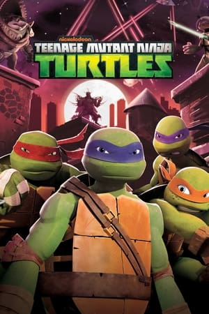 Les Tortues Ninja Saison 4 poster