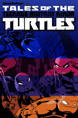 Les Tortues Ninja Saison 5 poster