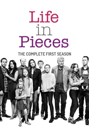 Life in Pieces Saison 1 poster