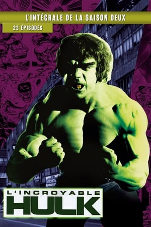 L'Incroyable Hulk Saison 2 poster