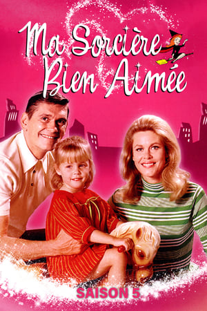 Ma Sorcière Bien-Aimée - saison 5 poster