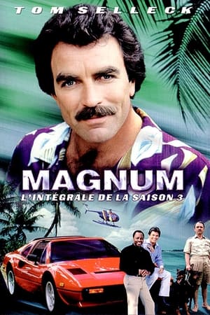 Magnum Saison 3 poster