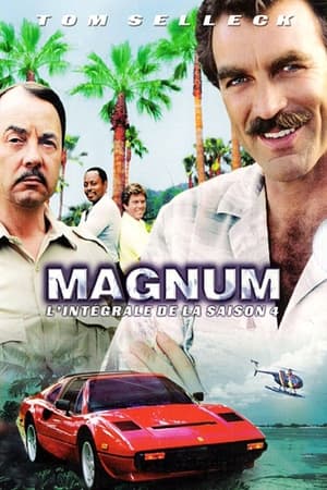 Magnum Saison 4 poster