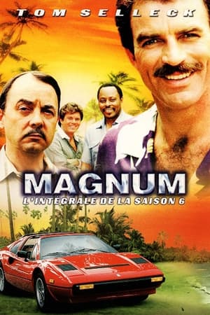 Magnum Saison 6 poster
