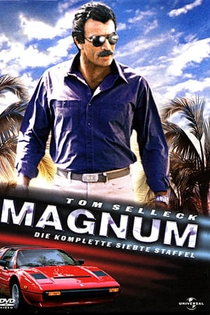 Magnum Saison 7 poster