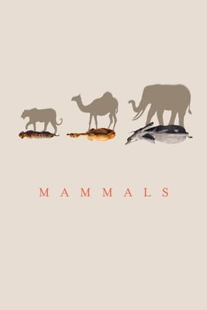 Mammifères - saison 1 poster