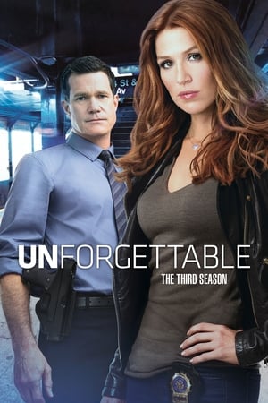 Mémoire sous enquête - saison 3 poster