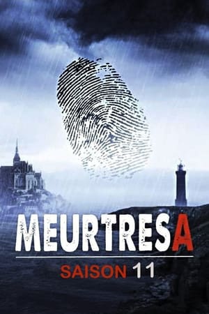 Meurtres à... - saison 11 poster