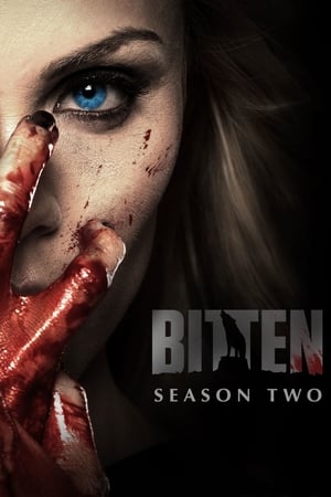 Morsure Saison 2 poster