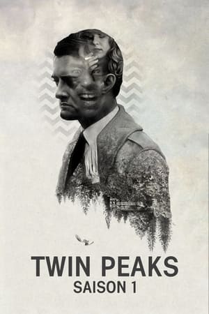 Mystères à Twin Peaks Saison 1 poster