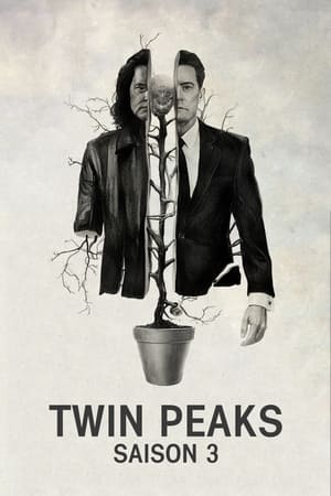 Mystères à Twin Peaks