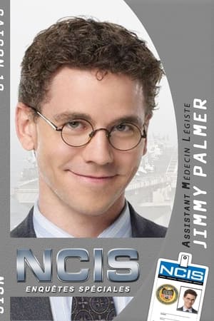 NCIS : Enquêtes spéciales - saison 10 poster