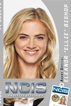 NCIS : Enquêtes spéciales Saison 11 poster