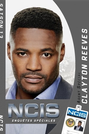 NCIS : Enquêtes spéciales - saison 13 poster