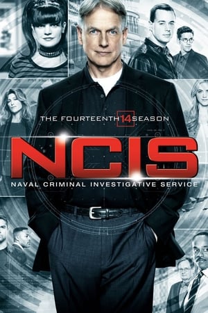 NCIS : Enquêtes spéciales Saison 14 poster