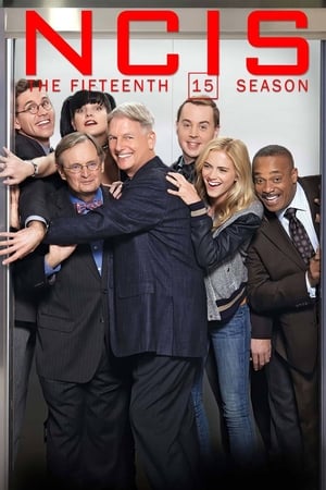 NCIS : Enquêtes spéciales - saison 15 poster