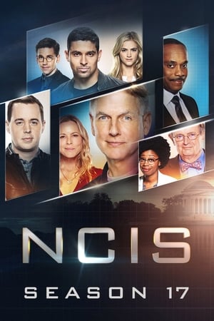 NCIS : Enquêtes spéciales - saison 17 poster
