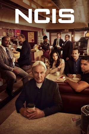 NCIS : Enquêtes spéciales Saison 19 poster