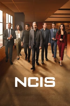 NCIS : Enquêtes spéciales - saison 21 poster