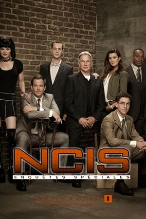 NCIS : Enquêtes spéciales Saison 8 poster
