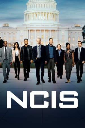 NCIS : Enquêtes spéciales Saison 22 poster