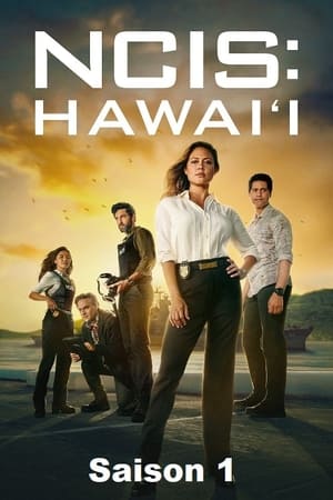 NCIS : Hawaï - saison 1 poster