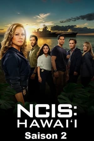 NCIS : Hawaï - saison 2 poster