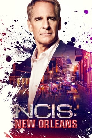NCIS : Nouvelle-Orléans - saison 5 poster
