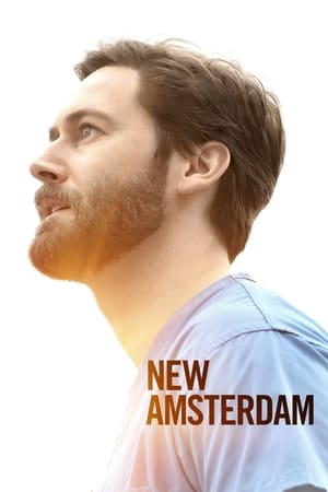 New Amsterdam Saison 3 poster
