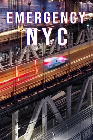 New York : Au cœur de l'urgence