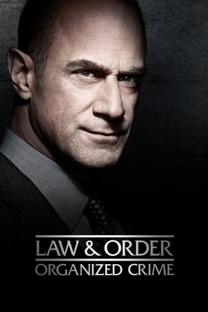 New York : Crime organisé - saison 1 poster