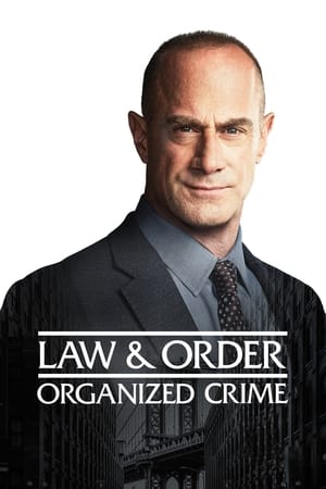 New York : Crime organisé - saison 2 poster