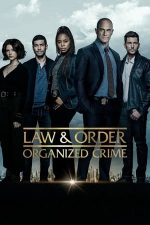 New York : Crime organisé Saison 3 poster