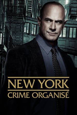 New York : Crime organisé - saison 4 poster