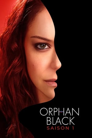 Orphan Black Saison 1 poster