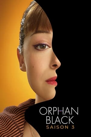 Orphan Black Saison 3 poster