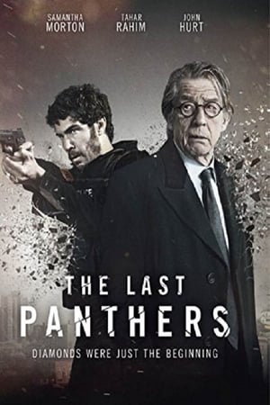 Panthers Saison 1 poster